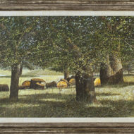 FORRESTALL The orchard 1979 Egg tempera 18 x 31 5