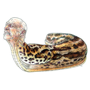 Nicholas DI GENOVA Hell Slug, 2015Ink and wc 10" x 10"