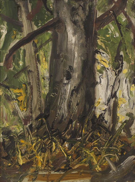 SOLD Forest Interior,BC Oil 16" x 12"