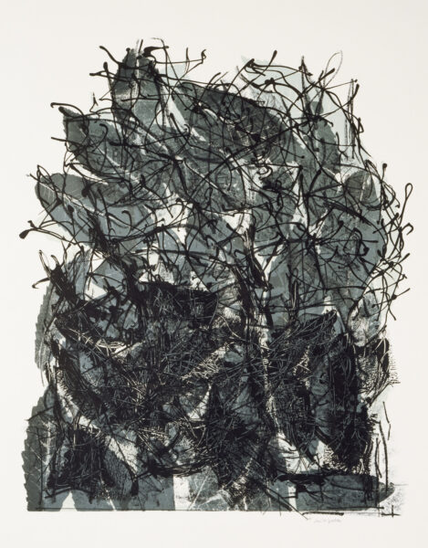 Feuilles I, 1967 Lithograph 26" x 21"