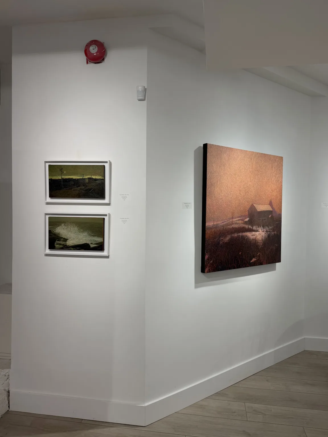 Canadian Fine Arts, Exhibition - Quinn Henderson: Feel Better Lost May, 2026